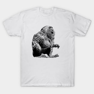 Marmoset T-Shirt